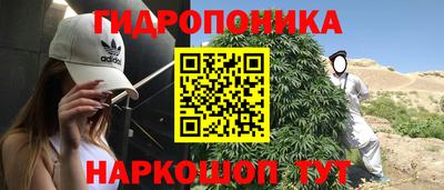 ECSTASY Донской