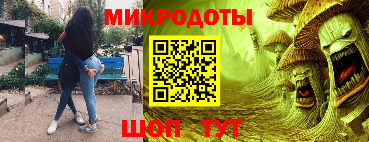 Псилоцибиновые грибы прущие грибы Камень-на-Оби