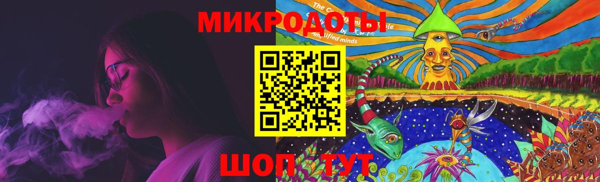 Камень-на-Оби  Галлюциногенные грибы MAGIC MUSHROOMS  Вход с VPN 